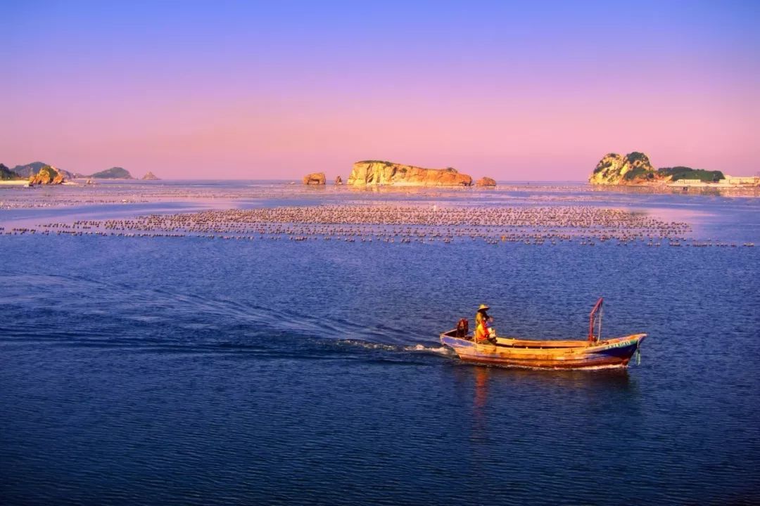 辽宁智造先锋,辽宁最新高科技产品探秘