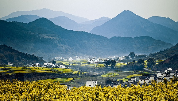 江西红色之旅，感悟成长与历史的青春足迹
